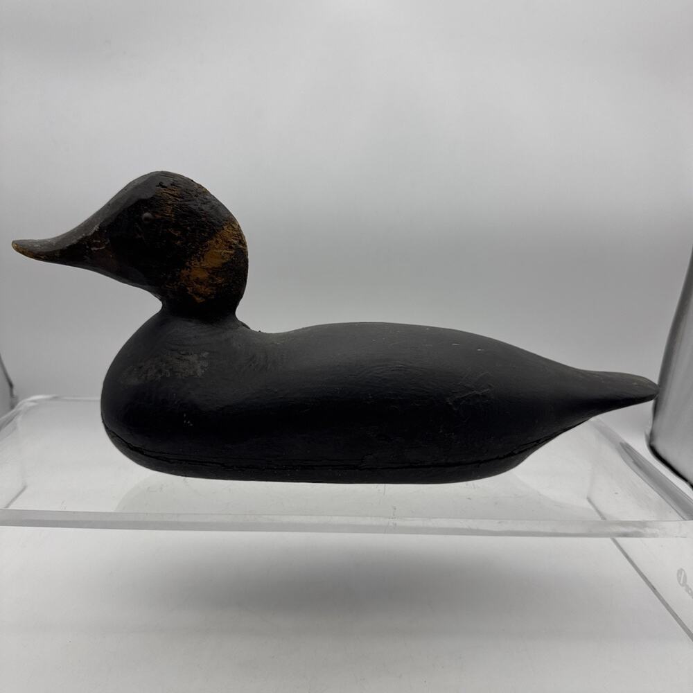 Very Rare Carved Early Mason? Hen Black Duck Decoy Glass Eyes - Primitive